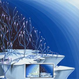 Eerin Vink 白天与黑夜插画作品欣赏