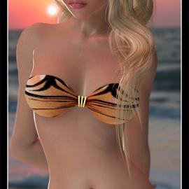 3dConnect 三维作品欣赏