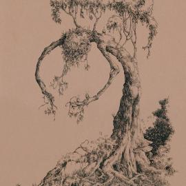 Socar Myles 的树林主题插画作品