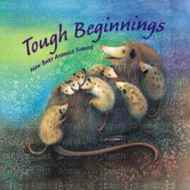 Anna Vojtech 书籍插画欣赏(一)