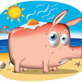 Simon Bosch数字插画作品欣赏(二)