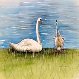 SUSAN MILLER插画作品欣赏(四)