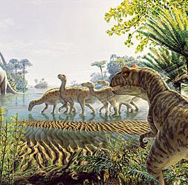 Tom Ungemach插画作品欣赏(一)