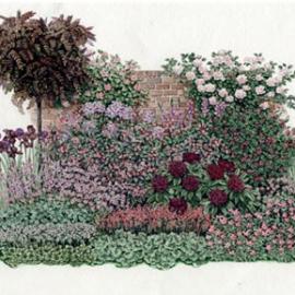 Liz Pepperell 插画作品