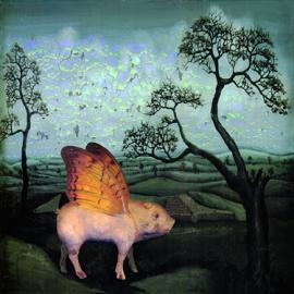 Maggie Taylor 的作品欣赏(一)