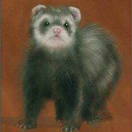 Katherine Dinger速写作品欣赏