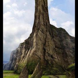 炜晔的3D作品欣赏