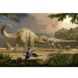 corel插画作品展示[下]