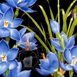 优秀写实手绘插画欣赏[一]