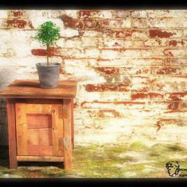 XSI 05年优秀CG作品展示(二月)