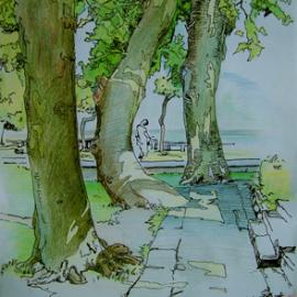 优秀彩铅手绘作品欣赏