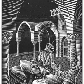 埃舍尔（M.C. Escher）著名插画(二)