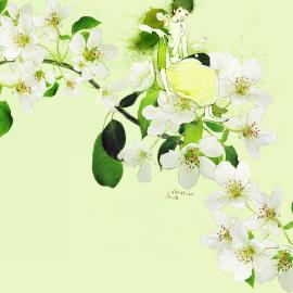 韩国经典手绘插画欣赏【一】