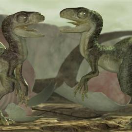 Fred Bastide角色设定欣赏【续】