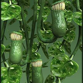 Cral.de Christian Russeler 3d作品欣赏