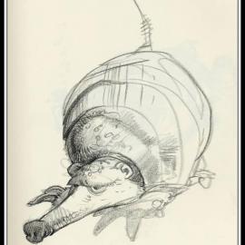 漫画卡通唐西格米勒随笔（一）