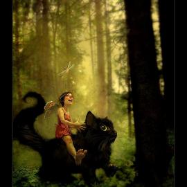 推荐：Linda Bergkvist　精彩作品