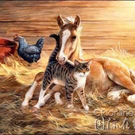 色彩斑斓的手绘猫插画集