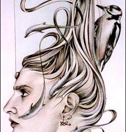 国外的彩铅画欣赏