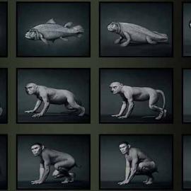 李小镜 （DANIEL LEE）作品欣赏