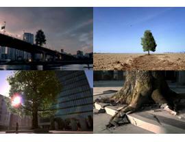 Johnnie Walker广告片Tree