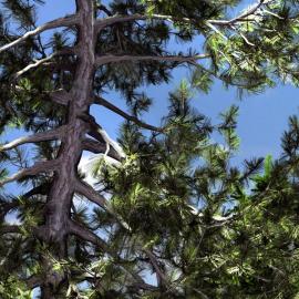 Thomas Krahn CG风景作品（三）