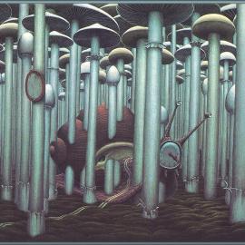 迷幻色彩的作品 , yerka作品集