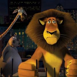 梦工厂动画片《马达加斯加》剧照欣赏（四）