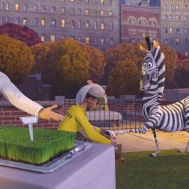 梦工厂动画片《马达加斯加》剧照欣赏（三）