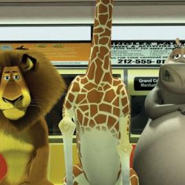 梦工厂动画片《马达加斯加》剧照欣赏（二）