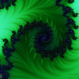 神奇的分形艺术作品欣赏：美丽的四季