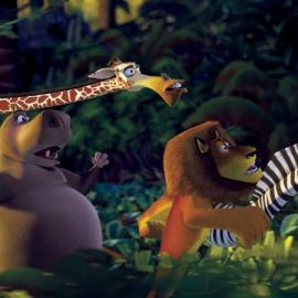 梦工厂动画片《马达加斯加》剧照欣赏（一）