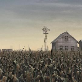 Meny Hilsenrad静帧作品