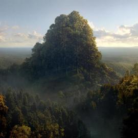 Digital Matte Painting场景图（2）