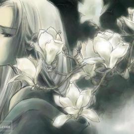 和式美女插画集