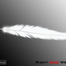 PS精通:羽毛的制作的最新方法