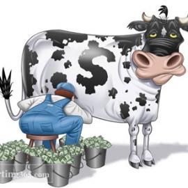 国外的原创插画作品欣赏