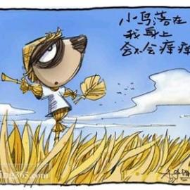 心灵独白---刀刀的漫画欣赏回顾