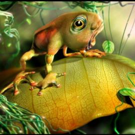 世界级大师三维动物精品回顾