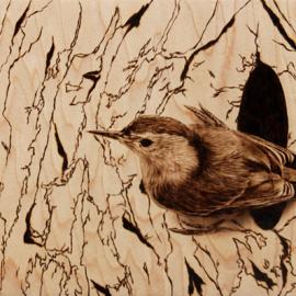 美国艺术家Julie bender在枫木上绘制的精美烙画作品