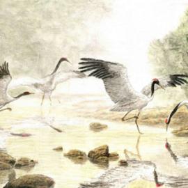 水上芭蕾――黄名纯花鸟新作