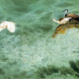 邹传安工笔花鸟画二