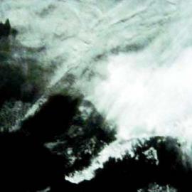 程雁滨国画欣赏