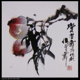 长安花鸟画家卫俊贤作品