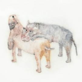 曾健勇作品展欣赏