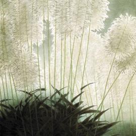 中国近代名家作品系列欣赏[十三]