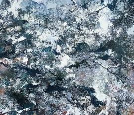 洪凌个展：苍莽气象