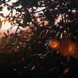 Damian Loeb绘画作品