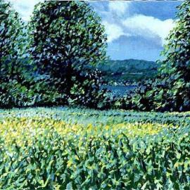 美国印象派画家Jim Murphy 风景油画作品