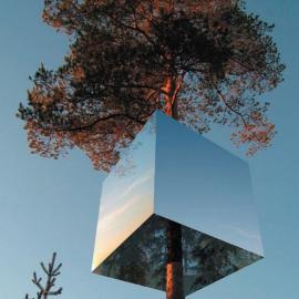 瑞典豪华树上酒店